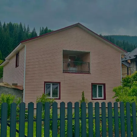 три ялинки Holiday home